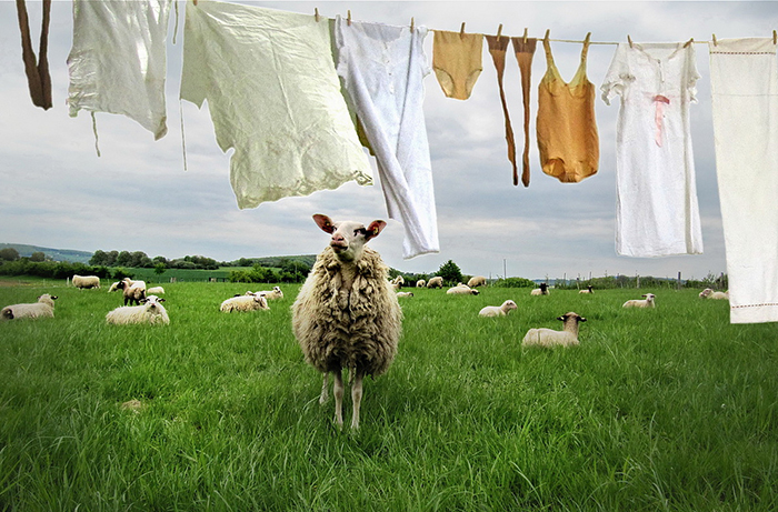 Ekologické praní - proč volit alternativu?