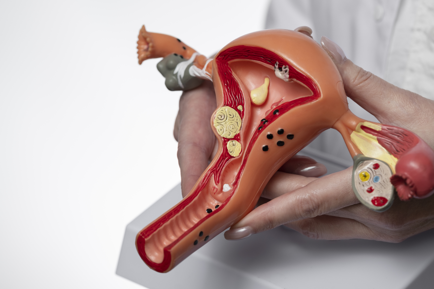 Děložní čípek pod lupou: Anatomický průvodce pro bezchybné zavedení pomůcky