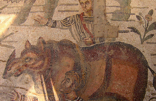 římská mozaika