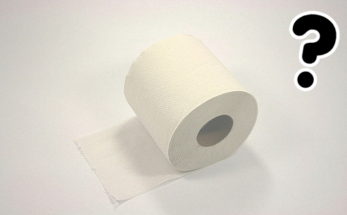 volba mezi papírovým a látkovým toaletním papírem