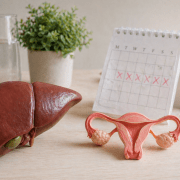 Propojení metabolismu jater a menstruačního cyklu: proč může vznikat estrogenová dominance